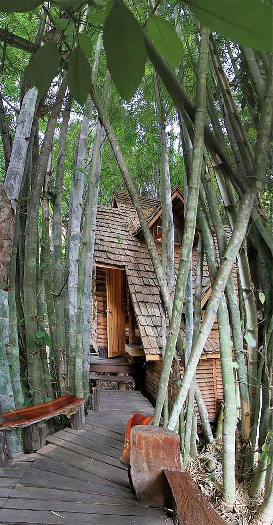 Rabeang Pasak Treehouse Resort Chiang Mai Exterior foto